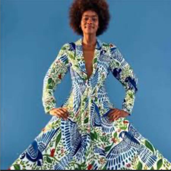 FARM Rio Blue Macaw Flight Deep V Boho Artsy Maxi Dress Size XS NWT - Picture 2 of 7